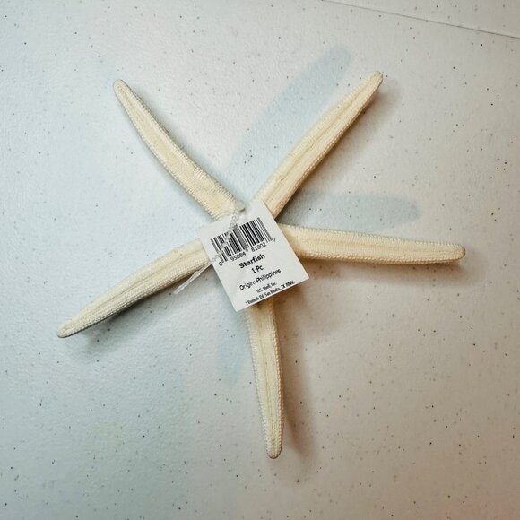White Starfish Shell Beach Decoration Coastal Beach Home Decor & Crafts - Picture 6 of 7
